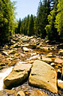 Povydří, Šumava