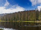 Černé jezero, národní park Šumava.