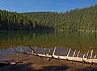 Prášilské jezero | Šumava.