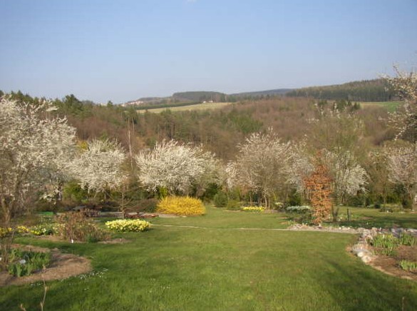 Arboretum Šmelcovna - ovocná část