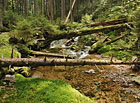 Bílý potok v národní přírodní rezervaci Bílá strž.