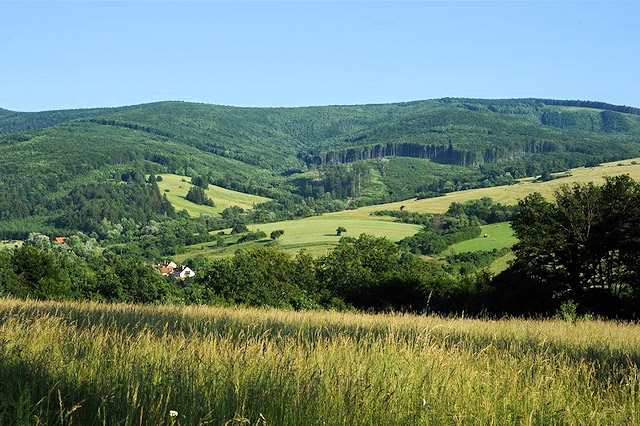 Národní přírodní rezervace Jazevčí | Bílé Karpaty