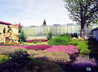 Botanická zahrada Liberec - venkovní expozice.