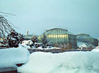 Botanická zahrada Liberec v zimě.