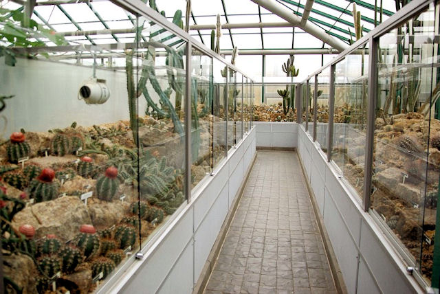 Botanická zahrada Liberec - expozice kaktusů a sukulentů