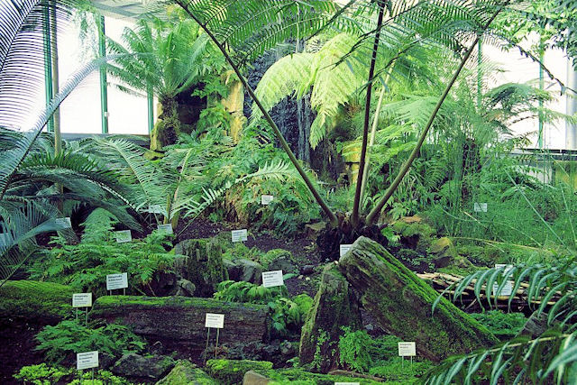 Botanická zahrada Liberec - pravěká expozice