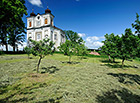 Kostel sv. Prokopa v Bezděkově je společně s kostelem v Božanově jediným kostel broumovské skupiny, který má věžní hodiny; stejně tak se šonovským kostelem je jediným kostelem se dvěma věžemi.

