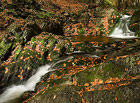 Atraktivní a fotogenický horský potok, který v podobě příkrých kaskád a peřejí divoce protéká masivem Světlé a Černé hory v Krkonoších.

