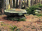Kamenitý hřbet v přírodní rezervaci Hadí vrch, Česká Kanada.