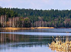 Návarský rybník, přírodní park Česká Kanada.