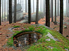 Skalní mísa v lese nad dolním kempem u Zvůle, Česká Kanada.