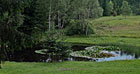 Kačležský rybník, přírodní park Česká Kanada.