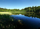 Pstruhový rybník, přírodní park Česká Kanada.