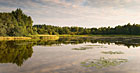 Panský rybník, přírodní park Česká Kanada.