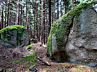 Skalní útvar Lebka v lokalitě U Panského lesa, Česká Kanada.