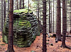 Kamenitý hřbet v přírodní rezervaci Hadí vrch, Česká Kanada.