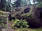 Žulová skaliska v lokalitě U Panského lesa, Česká Kanada.