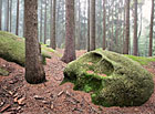 Skalní útvar Lebka v lokalitě U Panského lesa, Česká Kanada.