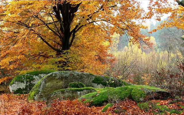 Podzim v přírodním parku Česká Kanada