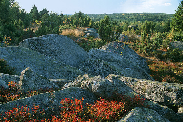 Kamenitý hřbet v přírodní rezervaci Hadí vrch, Česká Kanada