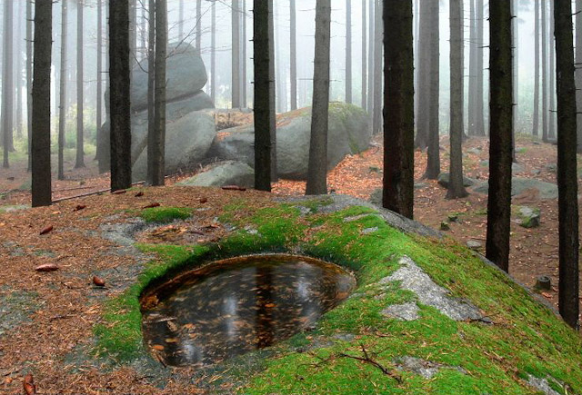 Skalní mísa v lese nad dolním kempem u Zvůle, Česká Kanada