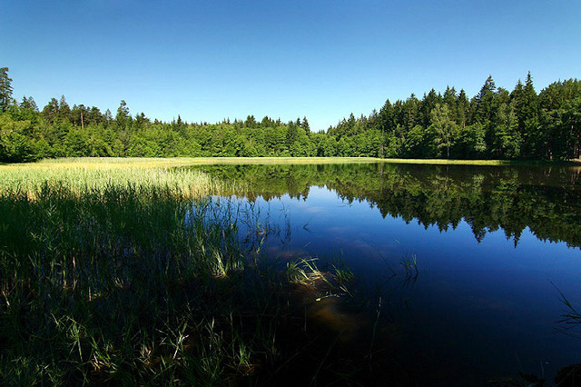 Dědkův rybník nedaleko Slavonic, Česká Kanada