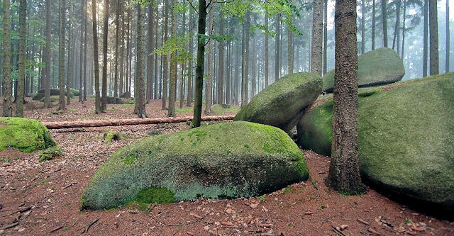 Žulová skaliska v lokalitě U Panského lesa, Česká Kanada