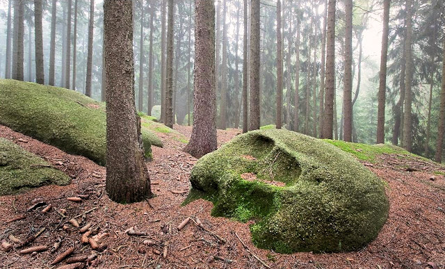 Skalní útvar Lebka v lokalitě U Panského lesa, Česká Kanada