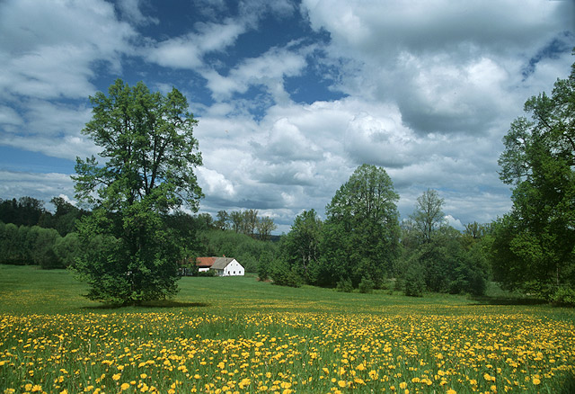 Malá vesnička u obce Kačlehy, Česká Kanada