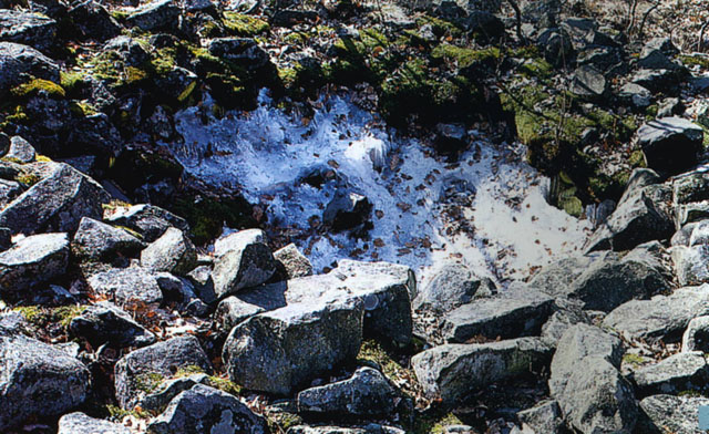 Ledová jáma v přírodní památce Plešivec