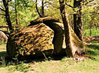 Husova kazatelna - 2 metrový kamenný viklan na vrchu Kačena.