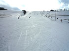 Ski areál Olešnice.