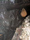 Historický důl Kovárna - pohled do důlní šachty.