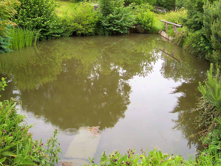 Rybníček v zahradě pro přírodní koupání | Jakubova tvrz