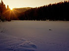 Jezero Laka v zimě, Šumava.