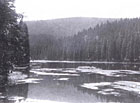 Jezero Laka, Šumava (1935).