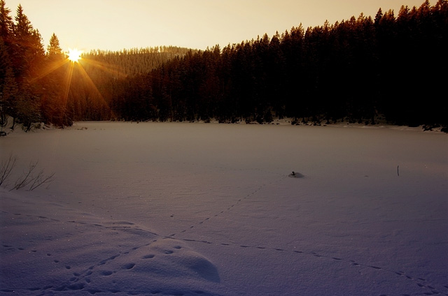 Jezero Laka v zimě, Šumava