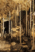 V jeskyni uvidíte největší veřejnosti přístupný podzemní dóm v ČR (na fotce) a pozoruhodný Bambusový lesík ze vzácných hůlkových krápníků. Dóm má vynikající akustiku a občas se v něm pořádají koncerty.

