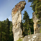 Tento skalní útvar se považuje za nejznámější skálu Příhrazských skal. Svým tvarem skutečně připomíná hlavu koně.

