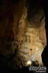 Nejrozsáhlejší známý jeskynní systém v Čechách – měří přes 2 km. Součástí prohlídky je i Pustý dóm s kopiemi koster nalezených zvířat (na fotce).

