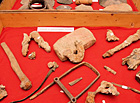 Muzeum Velké Bílovice - model Novosádské studny a nálezy.