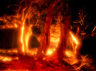 Hořící les