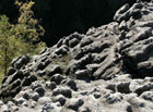 Vrcholy skalních věží a stěn jsou v České Švýcarsku často rozbrázděny tzv. pseudoškrapy.

