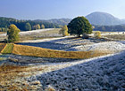 Růžovskému vrchu se pro svoji majestátnost v okolní krajině často přezdívá Děčínská Fudžijama.

