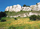 Naučná stezka Děvín - mohutná skalní vápencová stěna.