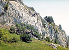 Naučná stezka Děvín - mohutná skalní vápencová stěna.