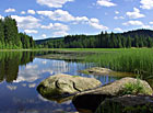 Huťský rybník u bývalé osady Terčí Huť, Novohradské hory.