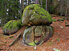 Žulový skalní útvar u Kamenného rybníka, Novohradské hory.