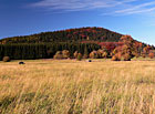 Pastvina u obce Leopoldov, Novohradské hory.