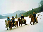Projížďka na koních ve sněhu, Adršpach.